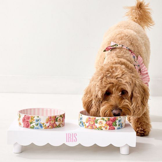 Build Your Pet Bowl Stand | Mark and Graham