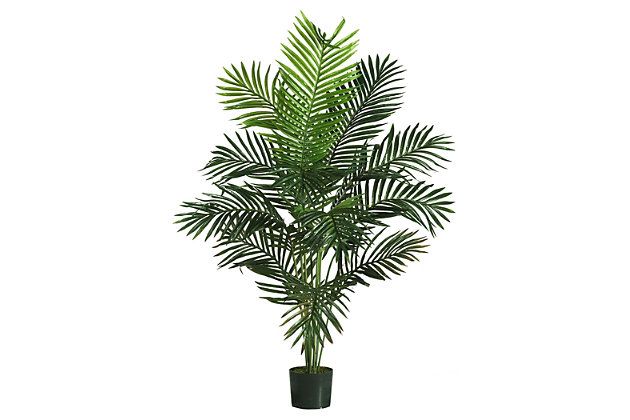 Home Accent 5’ Paradise Palm Tree with 12 Lvs | Ashley | Ashley Homestore