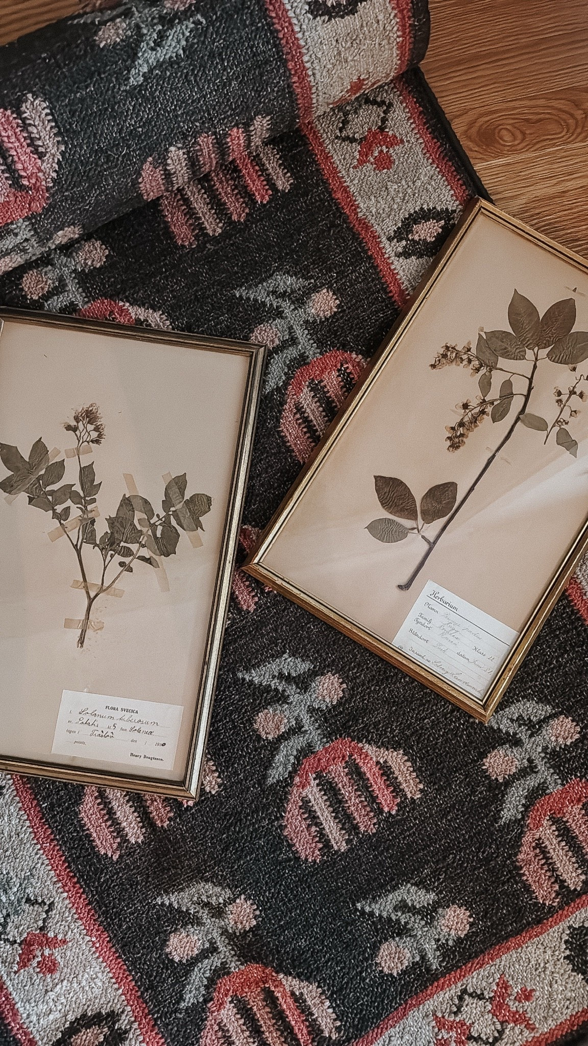 Rug and botanical art I am loving lately!

#LTKHome