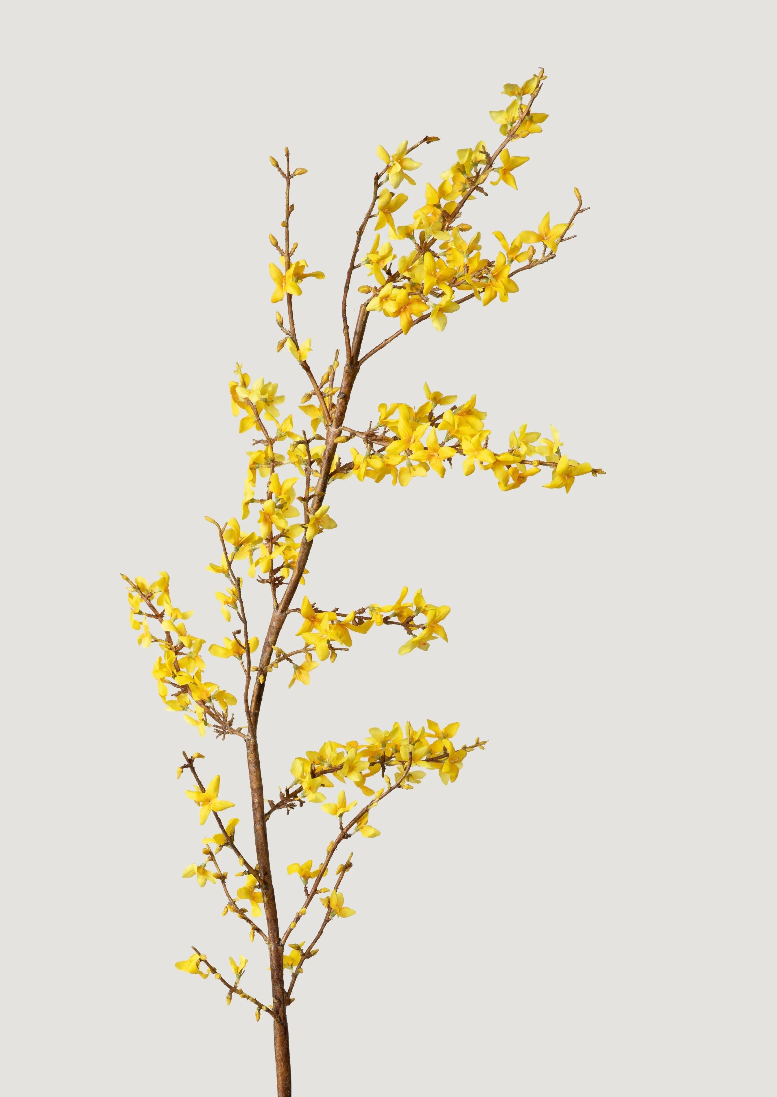 Yellow Faux Spring Forsythia Branch - 50" | Afloral