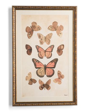 19x29 Butterflies Framed Wall Art | Marshalls
