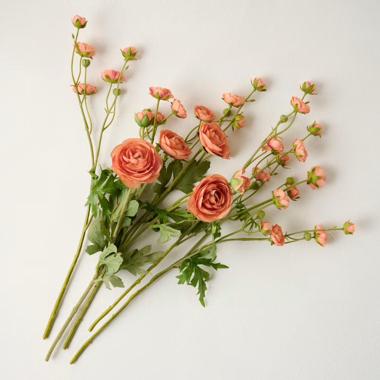 Ranunculus Bloom Bundle | Magnolia