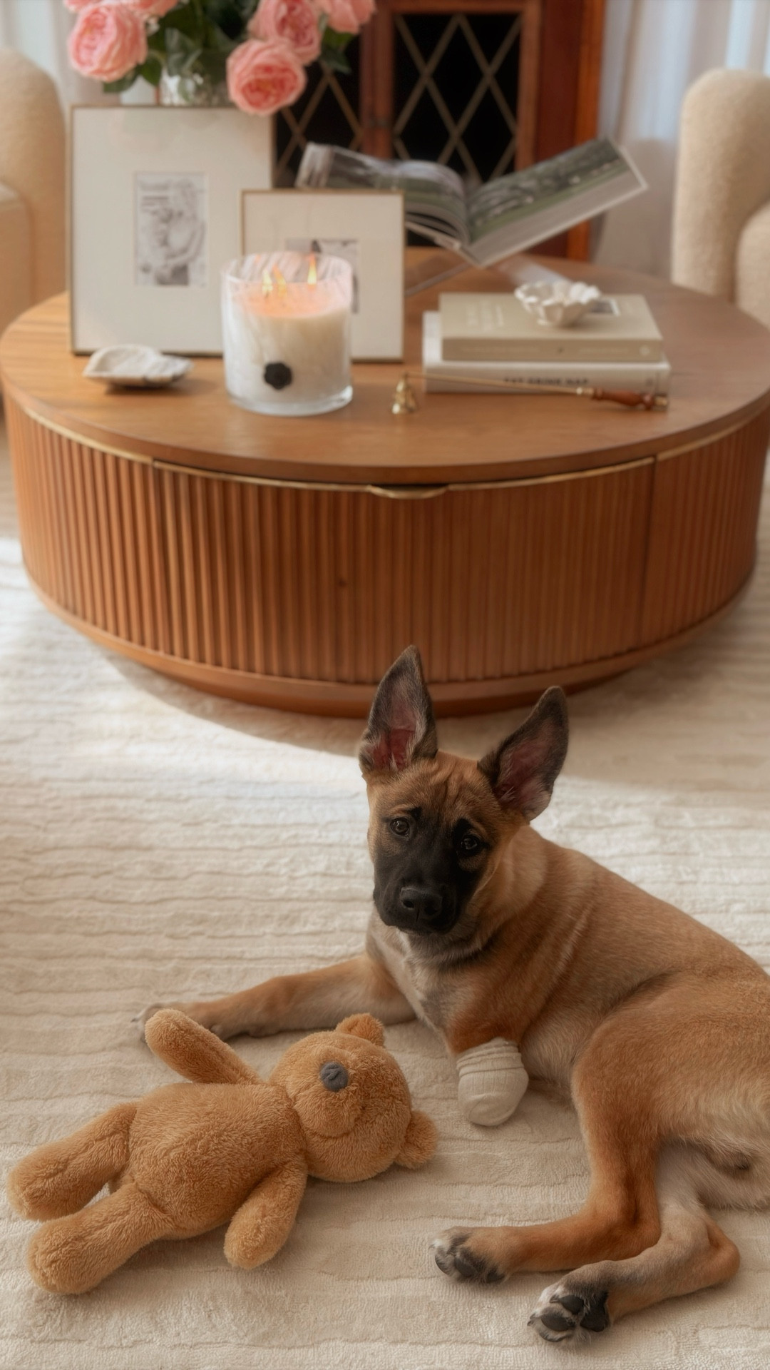 Save this for your next living room reset🤍 simple coffee table styling that instantly makes your living room feel put together an elevated☕️. It’s a little space like this then end up setting the tone for the whole home. ￼

Coffee Table styling | living room, decor ideas | home styling tips | coffee table, decor | cozy home ideas | neutral home decor ￼

#LTKHome #LTKvlog