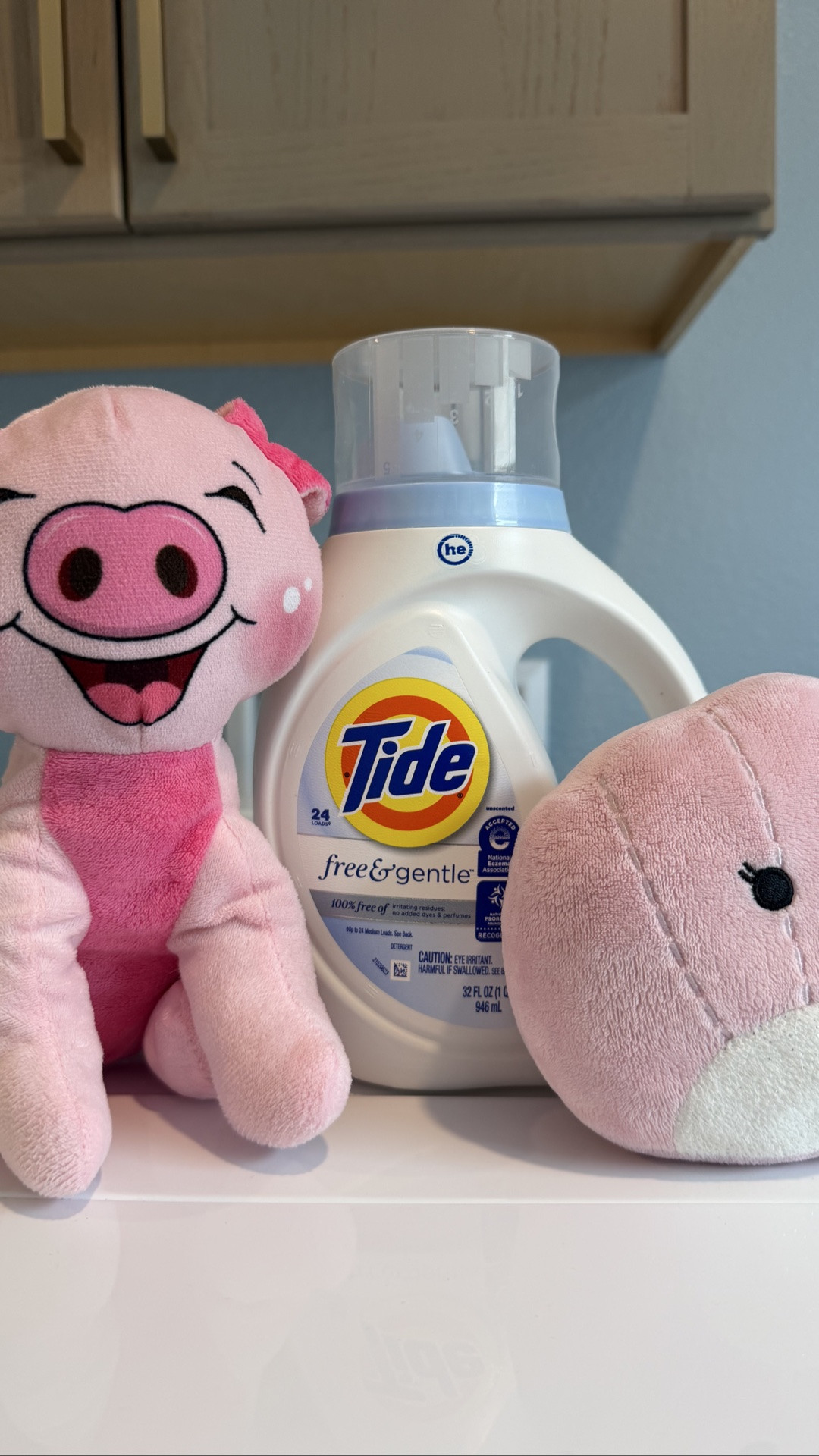 How to clean stuffed animals gently 

Tide free & gentle, stuffed animals, cleaning delicate, laundry room organization, laundry room ideas

#LTKootd #LTKKids #LTKBaby