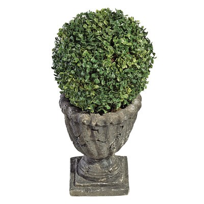 Boxwood Ball Floor Plant in Urn | Wayfair North America