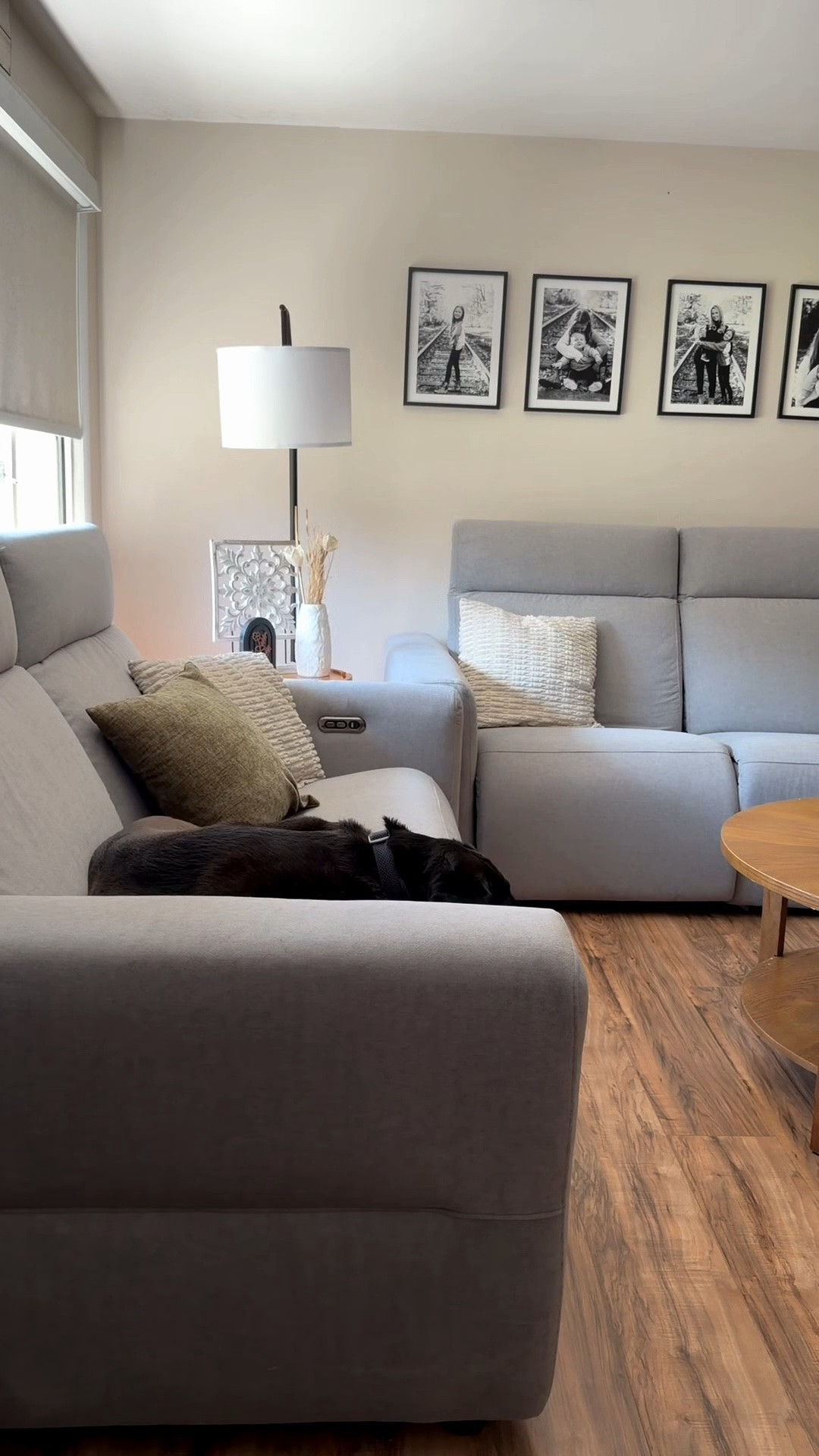 Recliner couches that are pet friendly and scratch proof. Charger ports built in!

#LTKdayinmylife #LTKmorningroutine #LTKHome