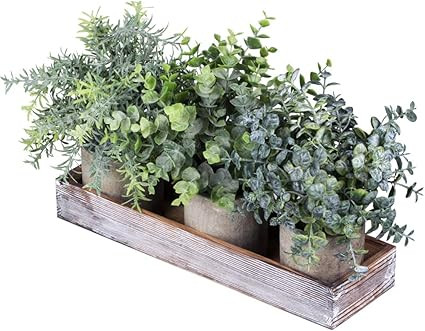 Amazon.com: Set of 3 Mini Potted Artificial Eucalyptus Plants Faux Rosemary Plant Assortment with... | Amazon (US)
