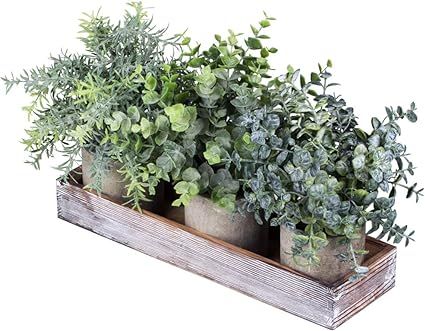 Amazon.com: Set of 3 Mini Potted Artificial Eucalyptus Plants Faux Rosemary Plant Assortment with... | Amazon (US)
