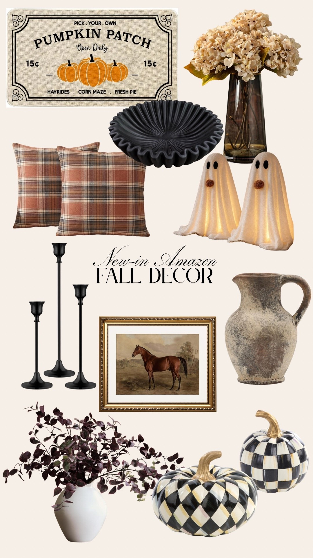 Fall Amazon decor 🍂🫶🏼

#LTKSeasonal