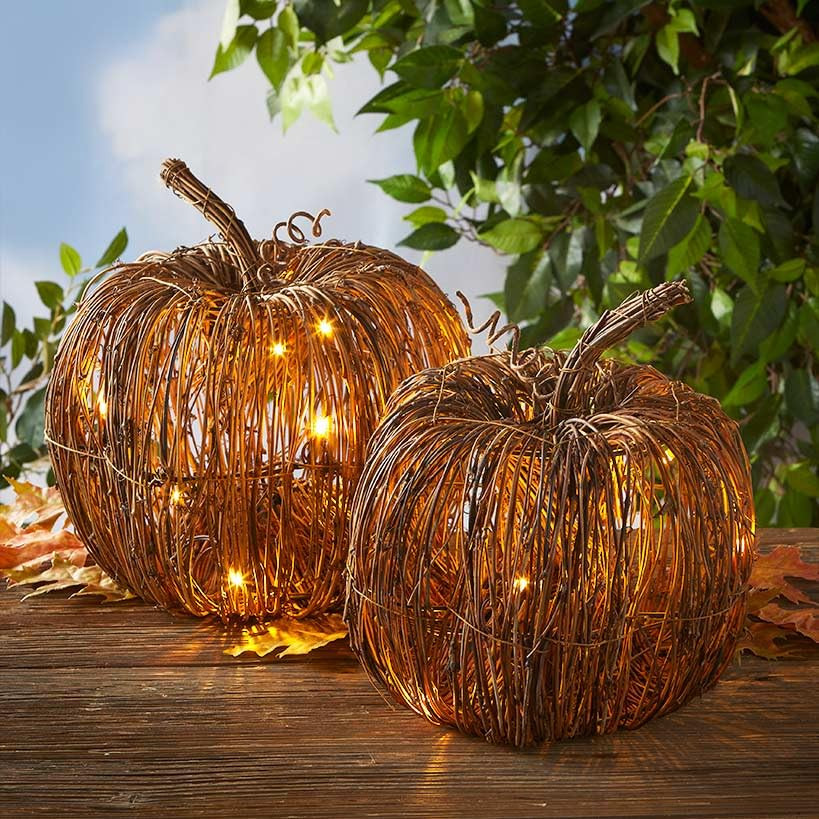 Lighted Grapevine Collection - Large | Amazon (US)