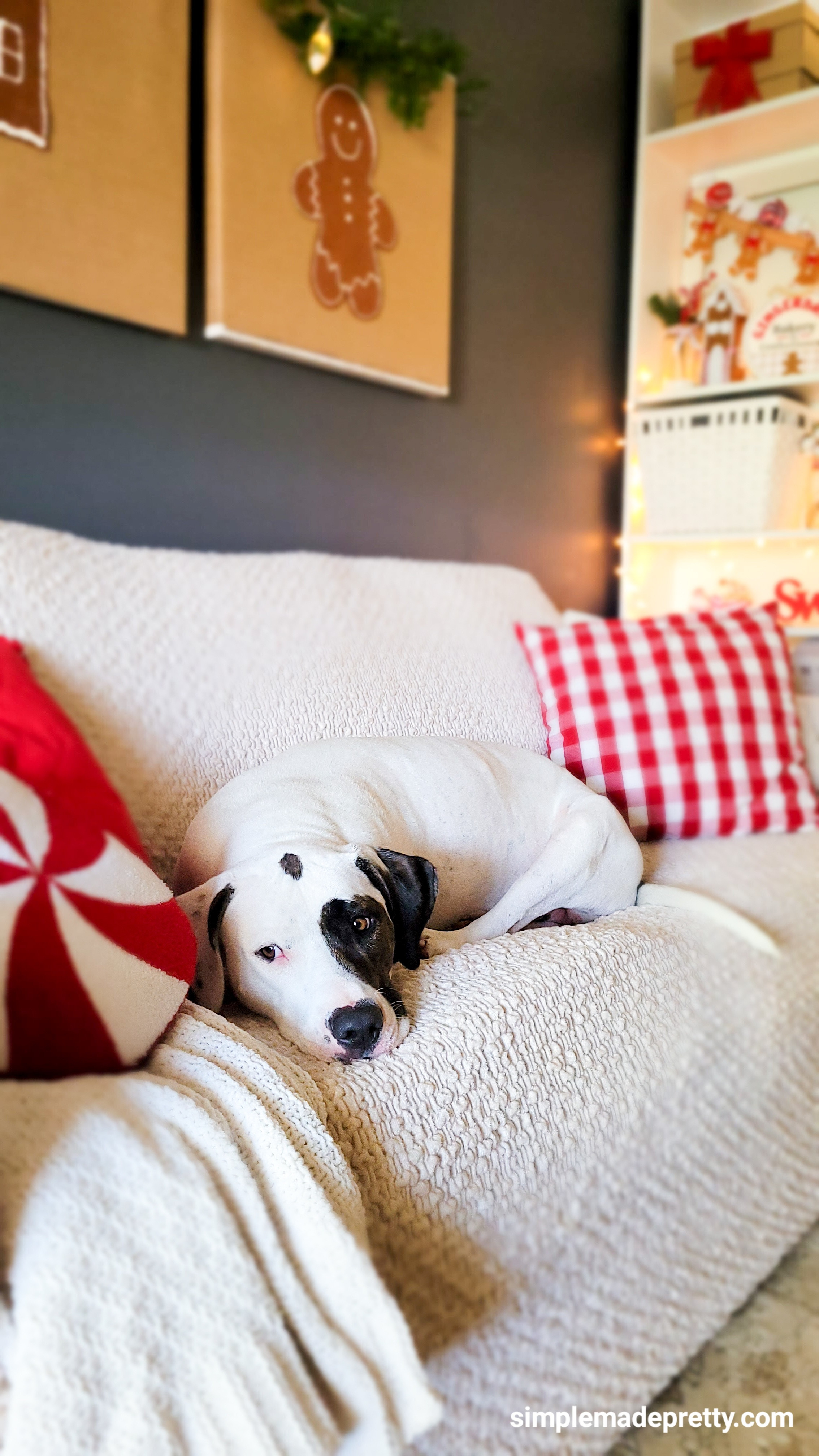 Our Holiday Family Lounge is officially pet-approved 🎄🐶
If you’ve been thinking about a sofa refresh before the holidays… this velvet cover is the easiest upgrade ever. Soft, stretchy, washable, and Duke clearly thinks it’s his new bed 🤍
Linked in my LTK + Amazon Storefront 🤍
#holidayhomedecor #cozylivingroom #christmasdecorideas #sofacover #velvetsofacover #mammamiacovers #budgetfriendlyhome #holidayrefresh #targetstylehome #ltkhome #ltkholiday #simplemadepretty 

 #LTKHoliday #LTKstorytime #LTKHome