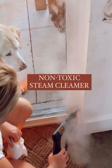 Steam cleaner on sale 
