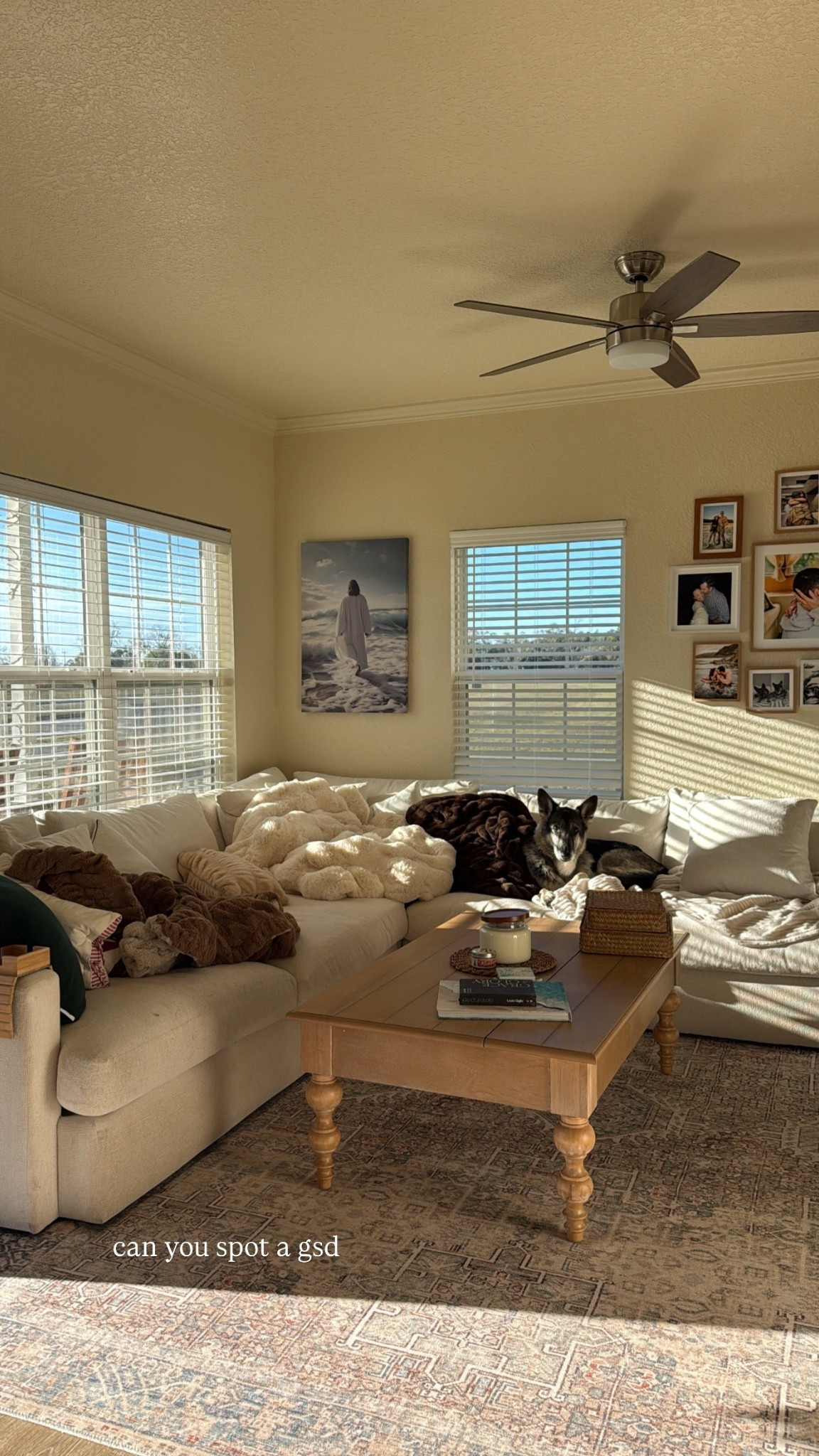 Can you spot a GSD? He loves relaxing on the couch on our Lola blankets! He might be a little spoiled! 🐾

I'm also in love with my new coffee table!! 😍

 

#LTKdayinmylife #LTKHome #LTKSeasonal