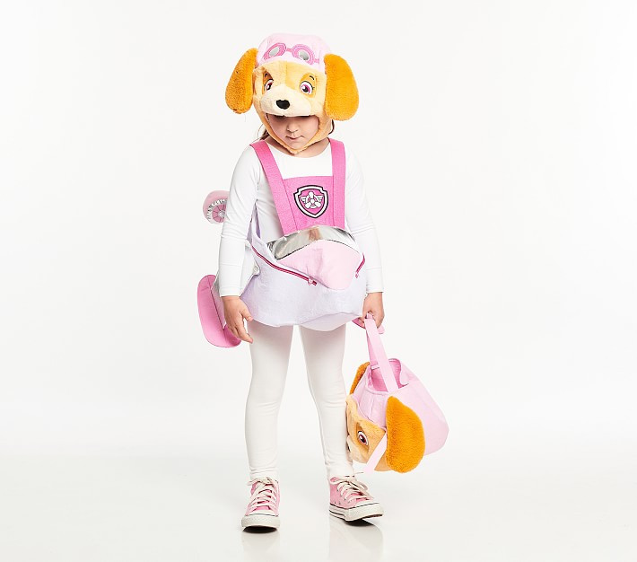 PAW Patrol™ Skye Halloween Costume PinterestXCopy Link Email Print | Pottery Barn Kids