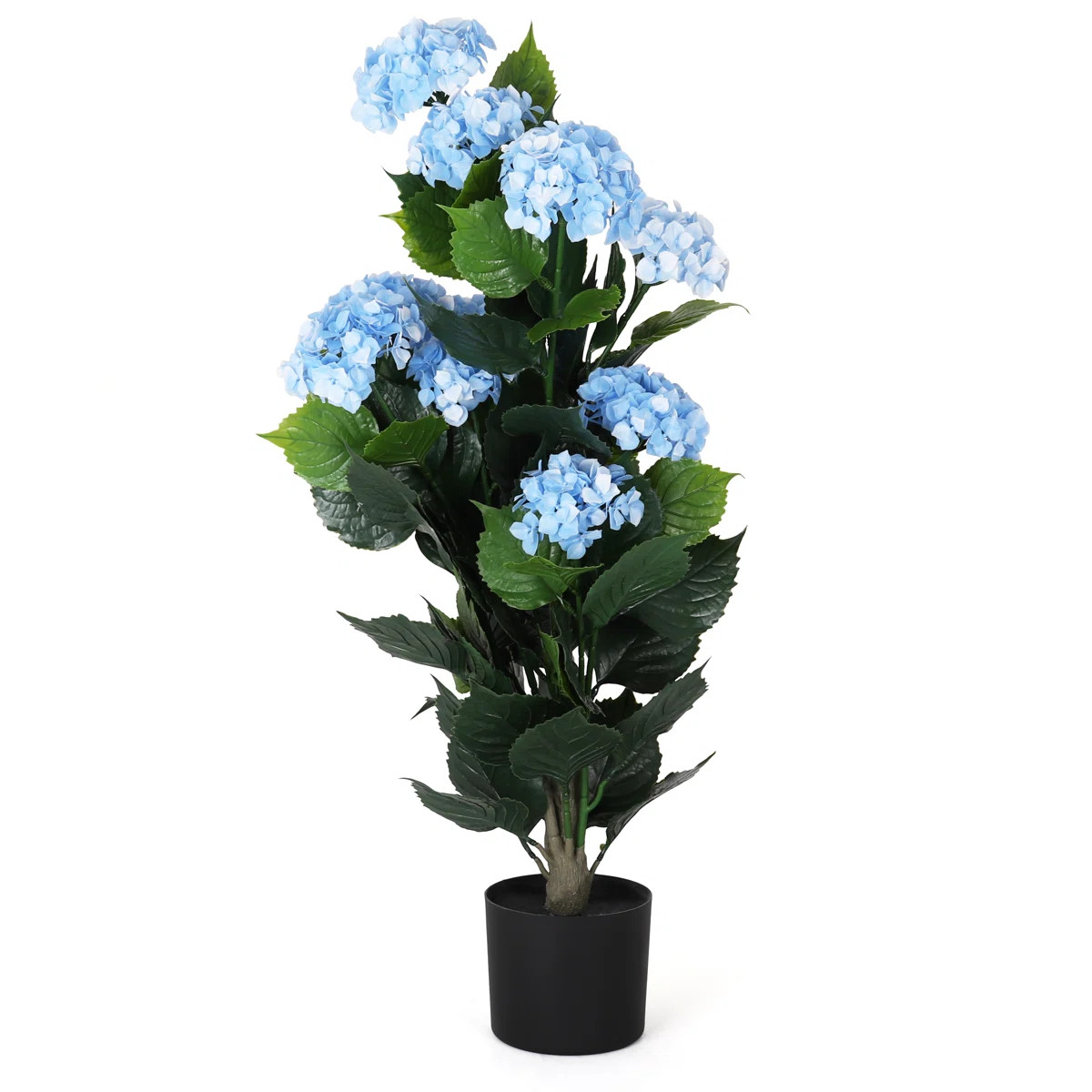 Potted Hydrangea - Small | Wayfair North America