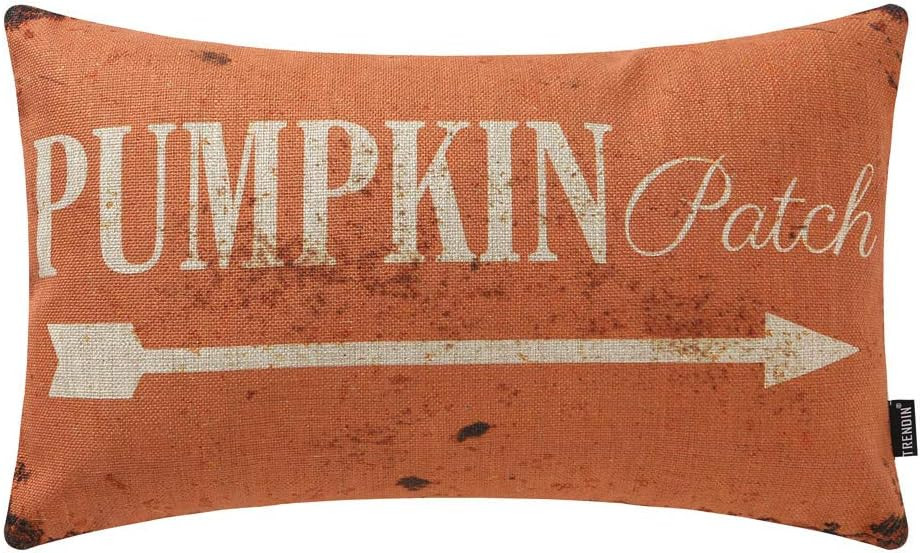 TRENDIN Decorative Throw Pillow Cover 20x12 inch Rustic Pumpkin Patch Cushion Case Rectangular Sh... | Amazon (US)