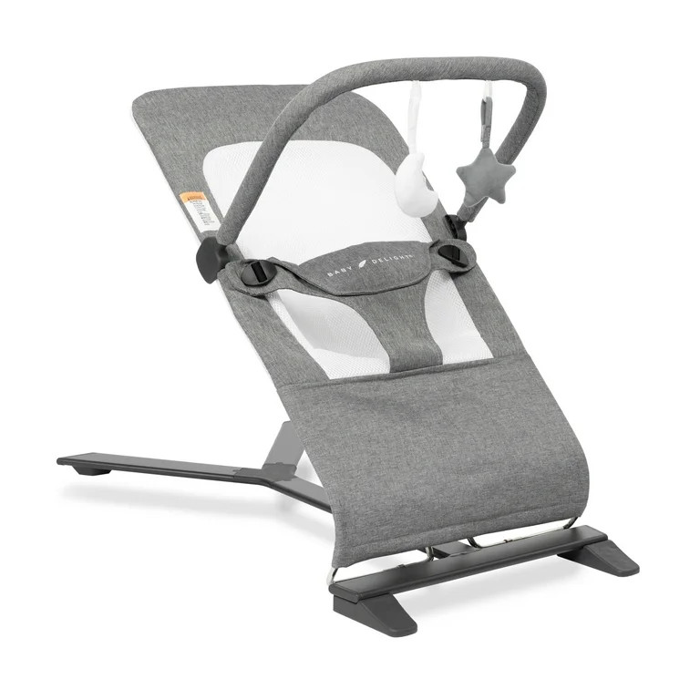 Baby Delight Alpine Deluxe Portable Baby Bouncer, for Infants 0-6 Months, Charcoal Tweed - Walmar... | Walmart (US)
