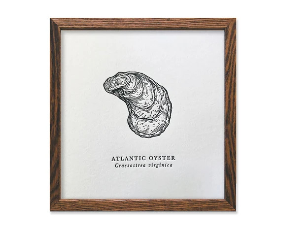 Atlantic Oyster Letterpress Print | Etsy (US)