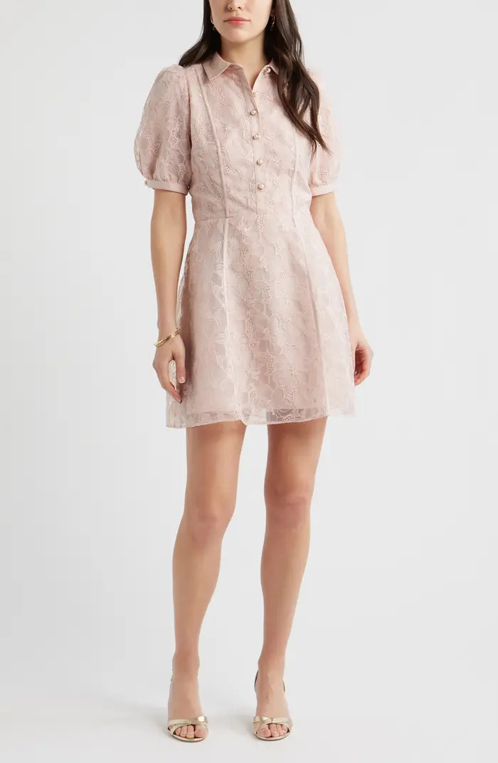 Floral Embroidered Puff Sleeve Minidress | Nordstrom