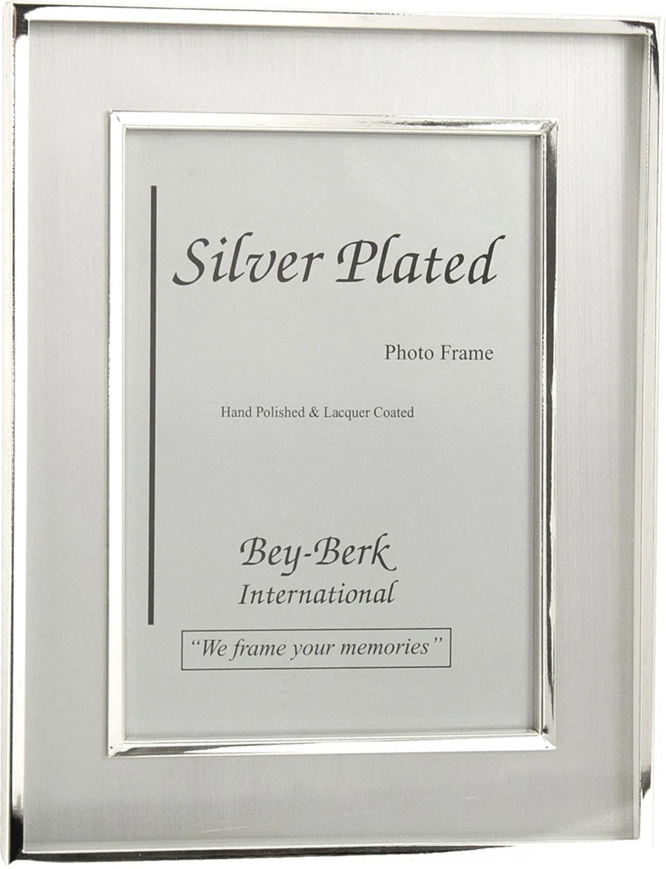 Arceneaux Silver Matte Picture Frame | Wayfair North America