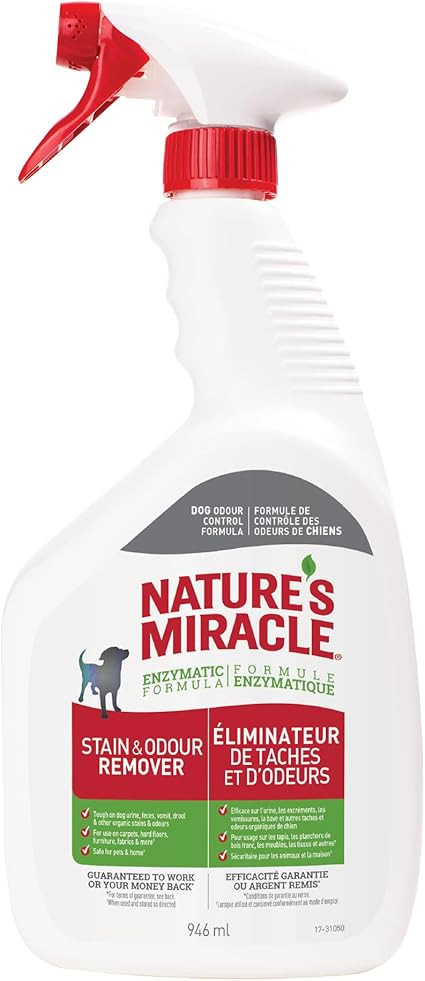 Nature’s Miracle Dog Stain and Odour Remover Foam Aerosol 17.5 oz, White | Amazon (CA)
