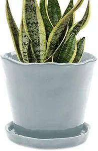 CHIVE ‘Tika’ Ceramic Planter Pot — Large 8" Succulent Pots for Indoor & Outdoor House Plant... | Amazon (US)