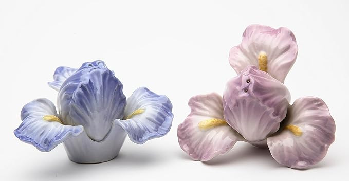 Fine Porcelain Iris Flower Salt and Pepper Shakers Set 2.25" H | Amazon (US)
