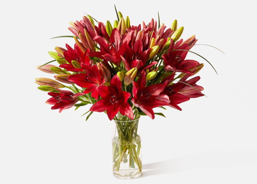 Double The Sangria | UrbanStems