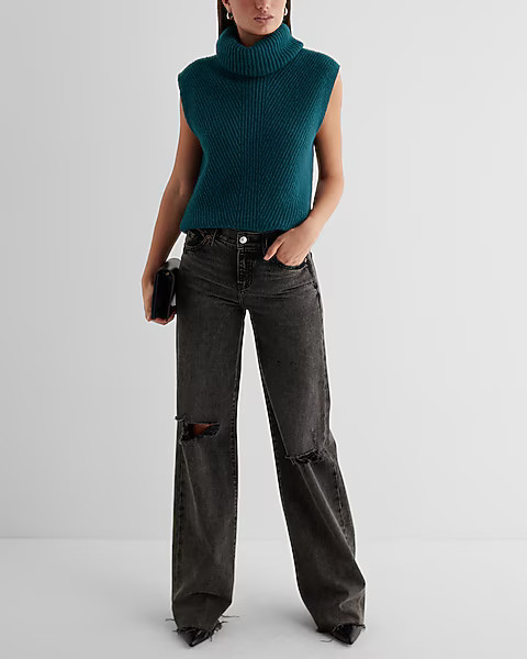 Ribbed Turtleneck Sweater Vest | Express