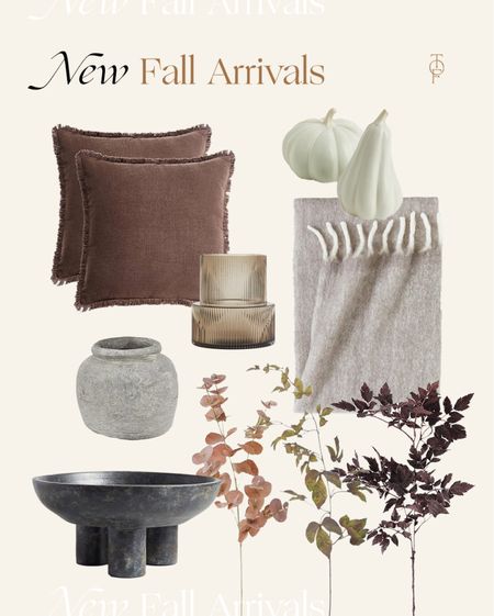 New fall home decor arrivals 

Fall, fall home decor, home decor, cozy fall, fall leaves, faux leaves, blanket, Amazon, affordable home decor, stoneware 

#LTKhome #LTKunder50 #LTKunder100