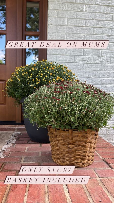 Fall Porch | fall decor | porch decor | Halloween decor | Halloween | doormat | porch rug | front door | fall wreath | basket planter | mums | outdoor sconce | planter 

#LTKunder100 #LTKSeasonal #LTKunder50