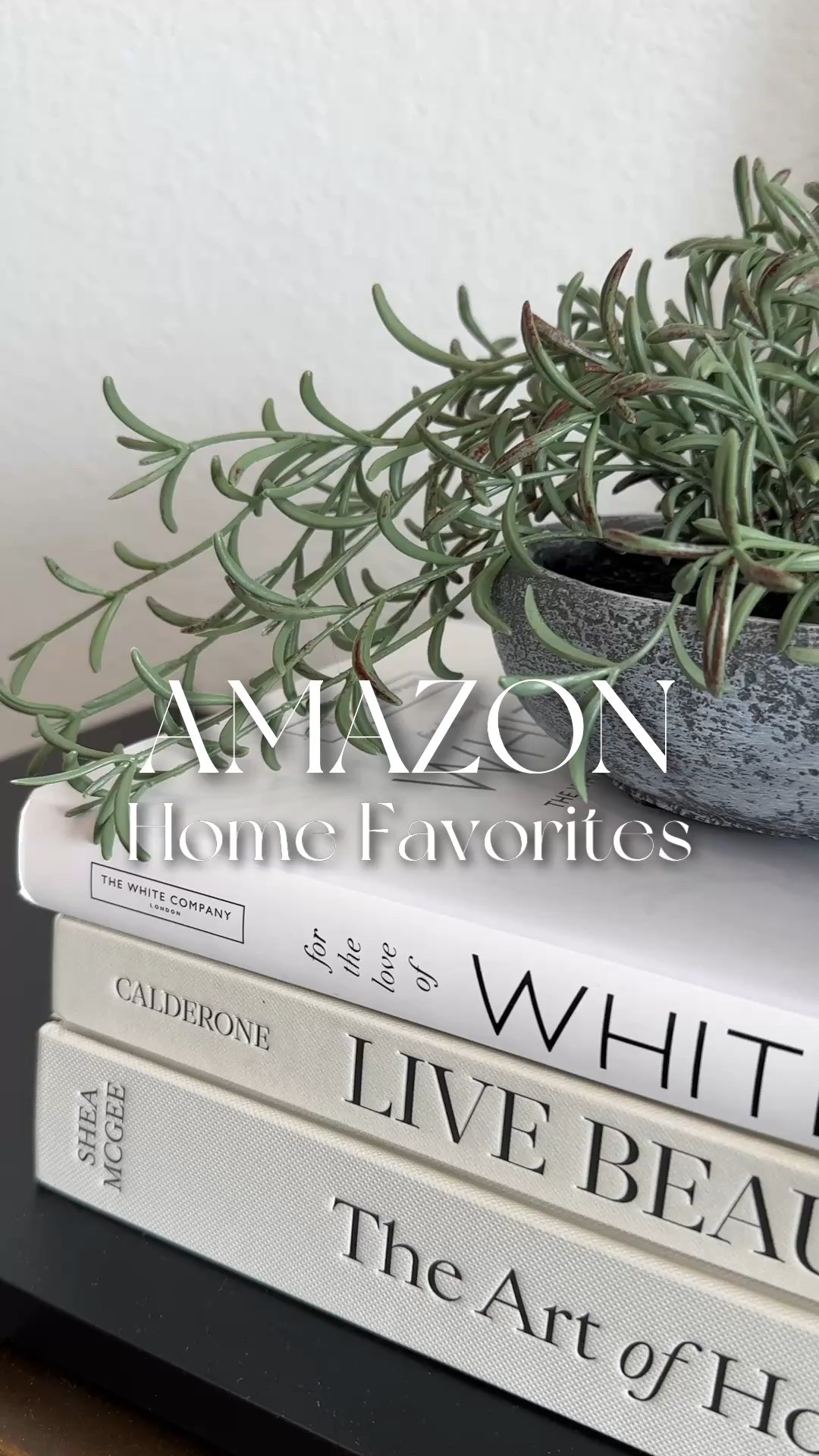 My favorite decor pieces for styling tables and shelves 

#LTKFindsUnder50 #LTKStyleTip #LTKHome