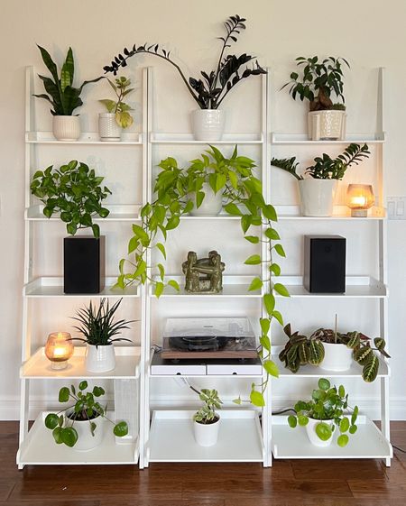 Living Wall Art 

#LTKstyletip #LTKMostLoved #LTKfindsunder50