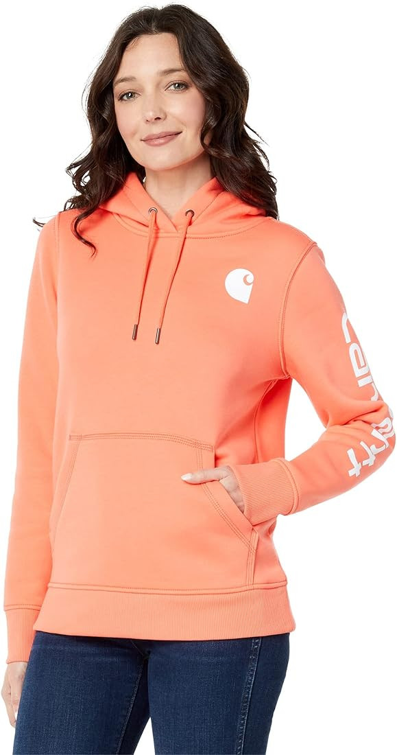 Carhartt Women's Clarksburg Graphic Sleeve Pullover Sweatshirt (Regular and Plus Sizes) | Amazon (US)