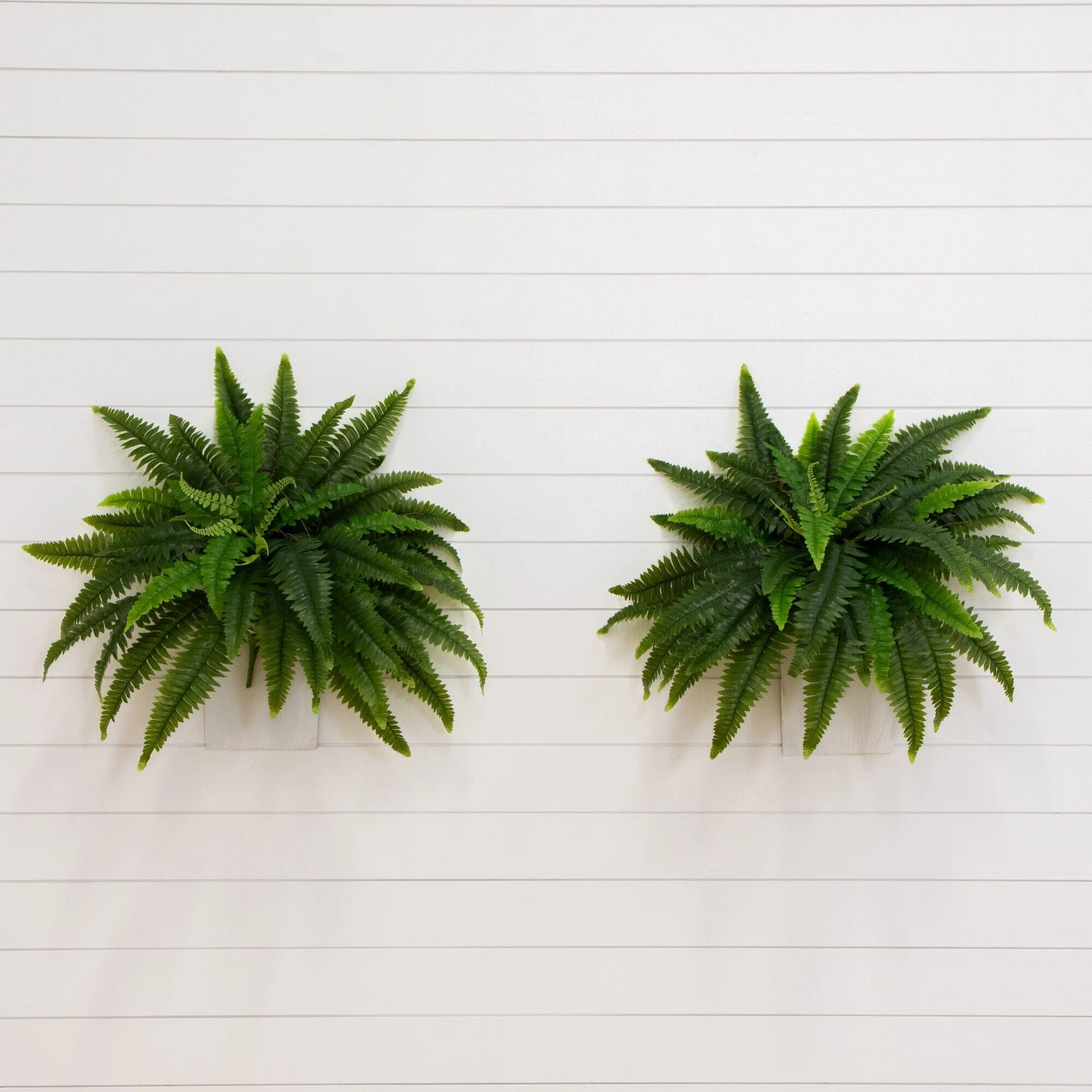 40" UV Resistant Artificial Boston Fern (Indoor/Outdoor) - Set of 2 | Nearly Natural | Nearly Natural