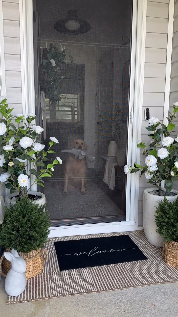 A DIY retractable screen door that takes up no space, and a 10 minute and 6 screw install?! 🤯 follow + comment “SCREEN” and I’ll send you the link!

We have a smaller porch so a swing out door would’ve been too much, not to mention the cost $$! This screen door from @loweshomeimprovement has been a game changer for keeping bugs out and the pets in 👏

#DIYscreendoor #retractablescreenporch #smallporchstyling #smallentrywaystyling #lowesfinds https://shoplowes.me/4pUOmXz

#LTKmomlife #LTKSeasonal #LTKHome