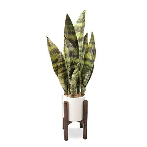 GreenBoxx Artificial Snake Plant Pot, 27" Portable Faux Potted Air-Purifying Indoor Plant for Hom... | Walmart (US)