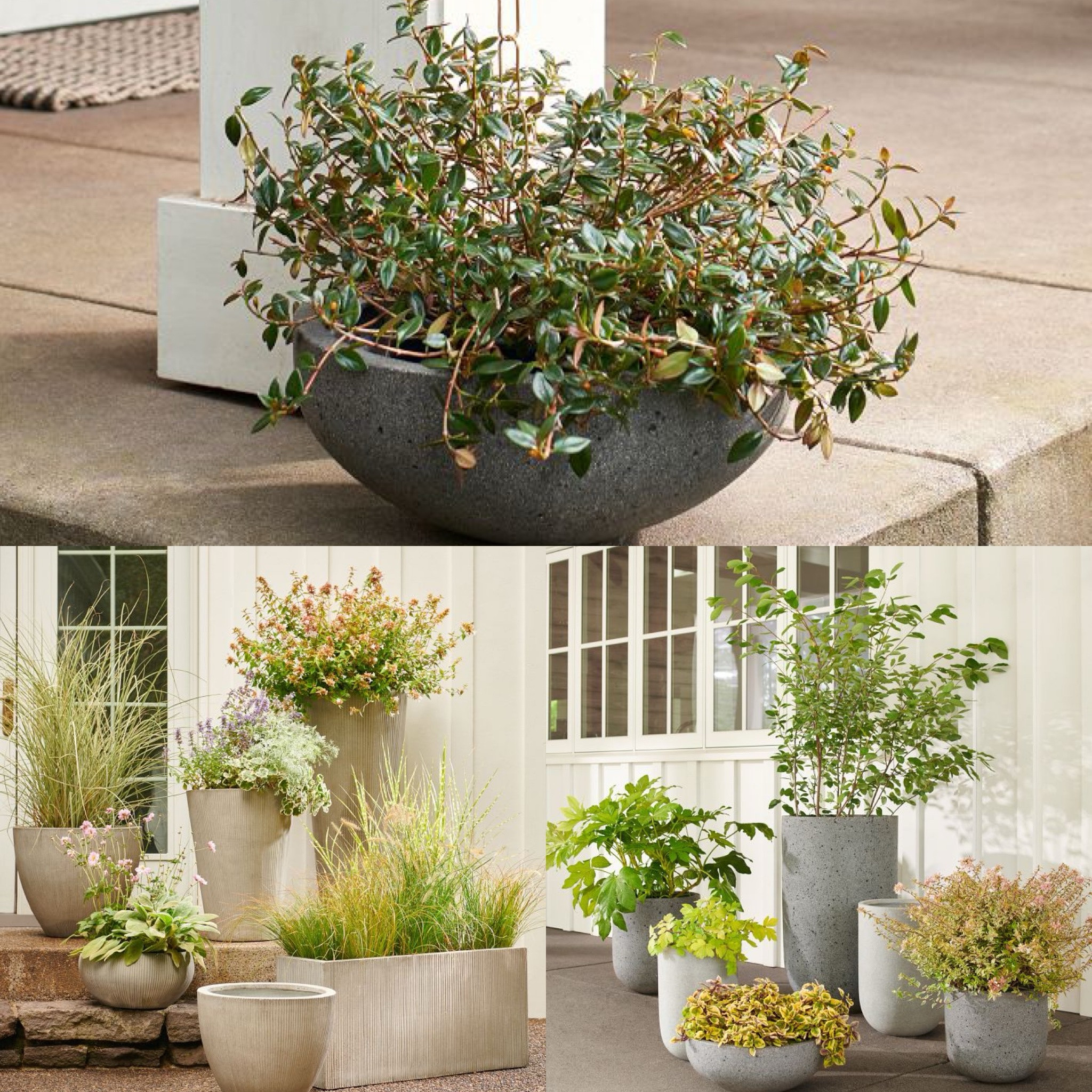Up to 60% off at Rejuvenation. #outdoorplanter

#LTKSaleAlert #LTKSeasonal #LTKHome