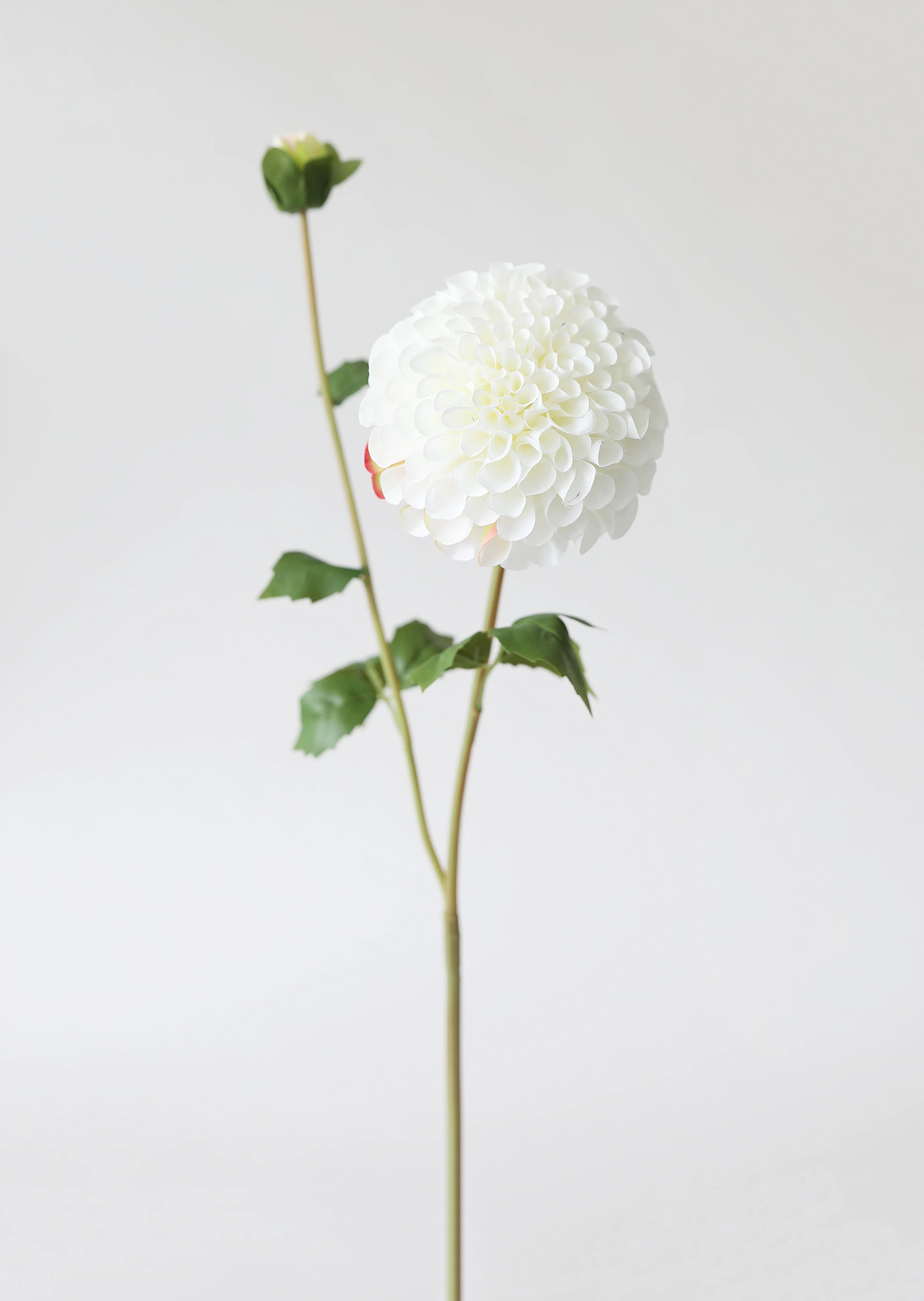 Blooming Fake Dahlia in White | Artificial Dahlias at Afloral | Afloral
