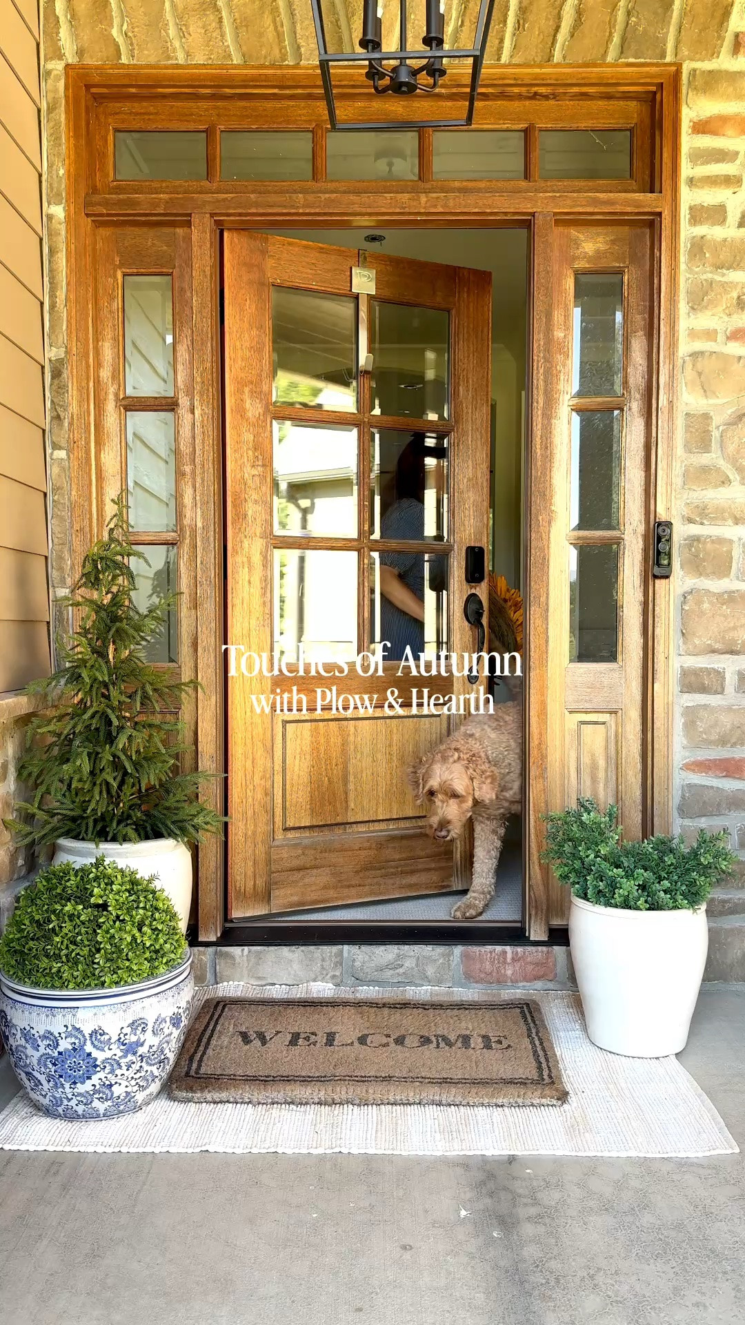 Favorite fall finds from Plow & Hearth #plowandhearth

#LTKdayinmylife #LTKHome #LTKSeasonal