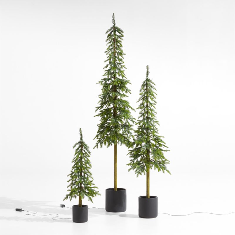 Faux Potted Slim Alpine Pre-Lit LED Trees with White Lights | Crate and Barrel | Crate & Barrel