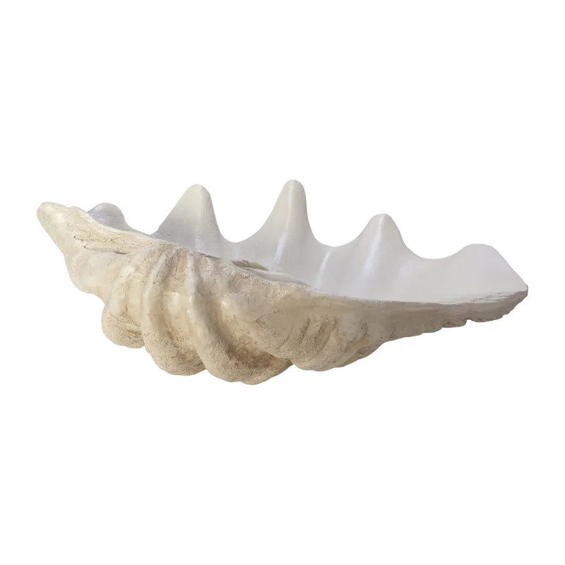 Pearlized Shell Bowl, Novelty | Wayfair North America