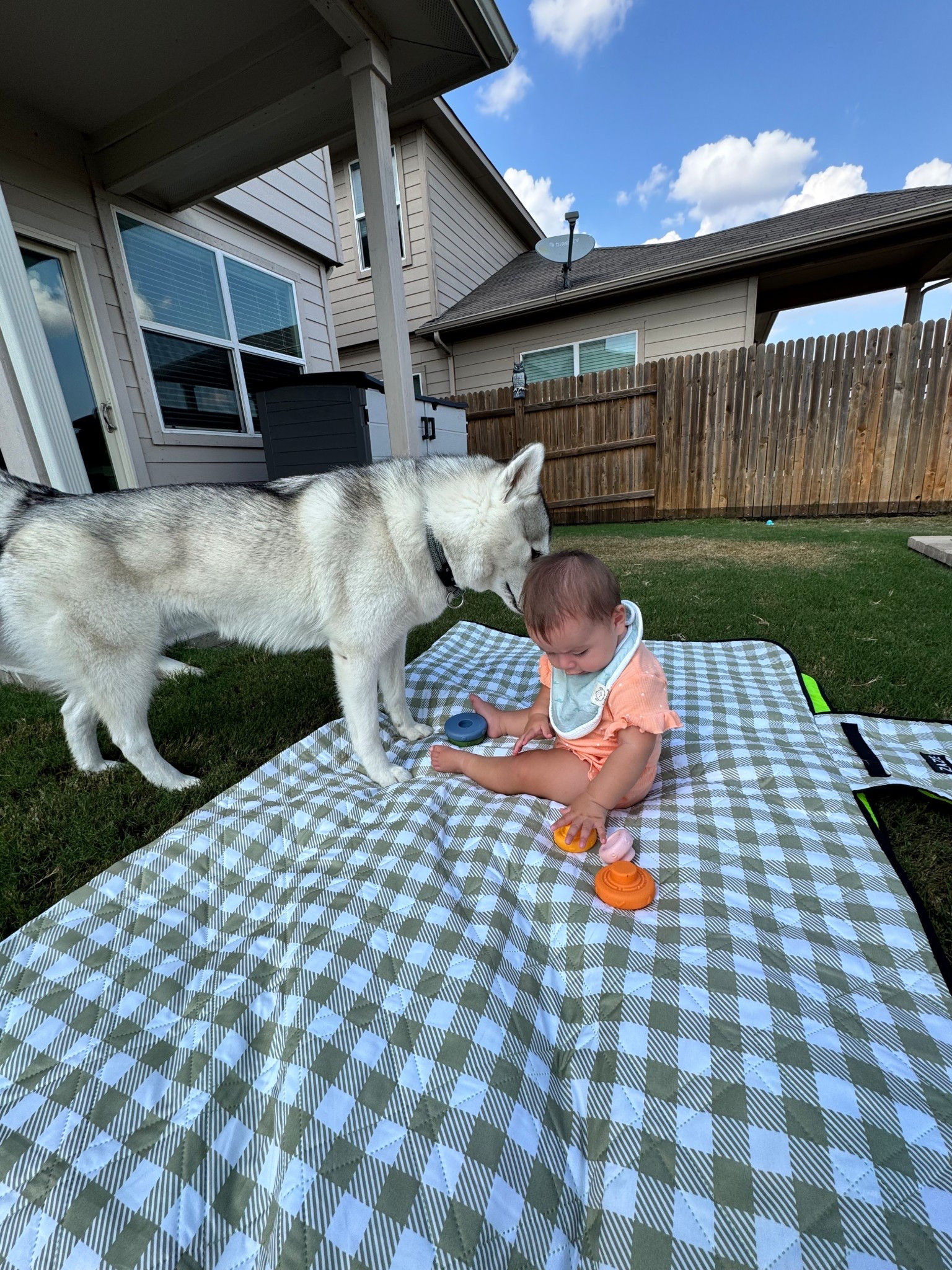 TGIF 🏠

#LTKFamily #LTKBaby #LTKKids