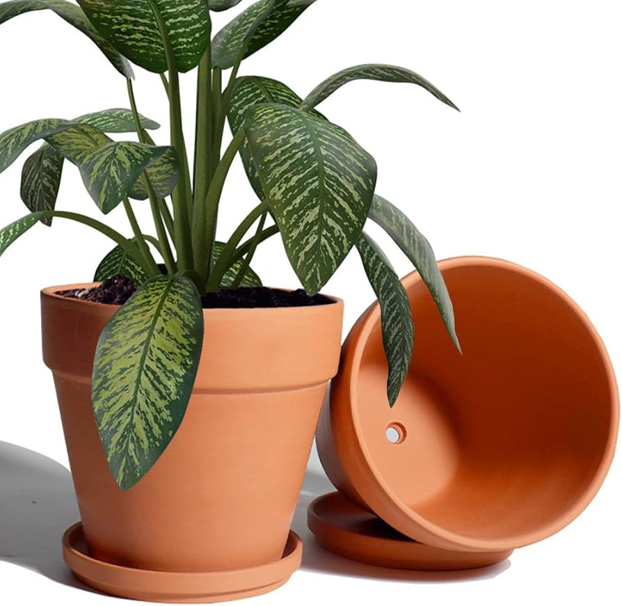 vensovo 8 Inch Clay Pot for Plant with Saucer - 2 Pack Large Terra Cotta Plant Pot with Drainage ... | Amazon (US)