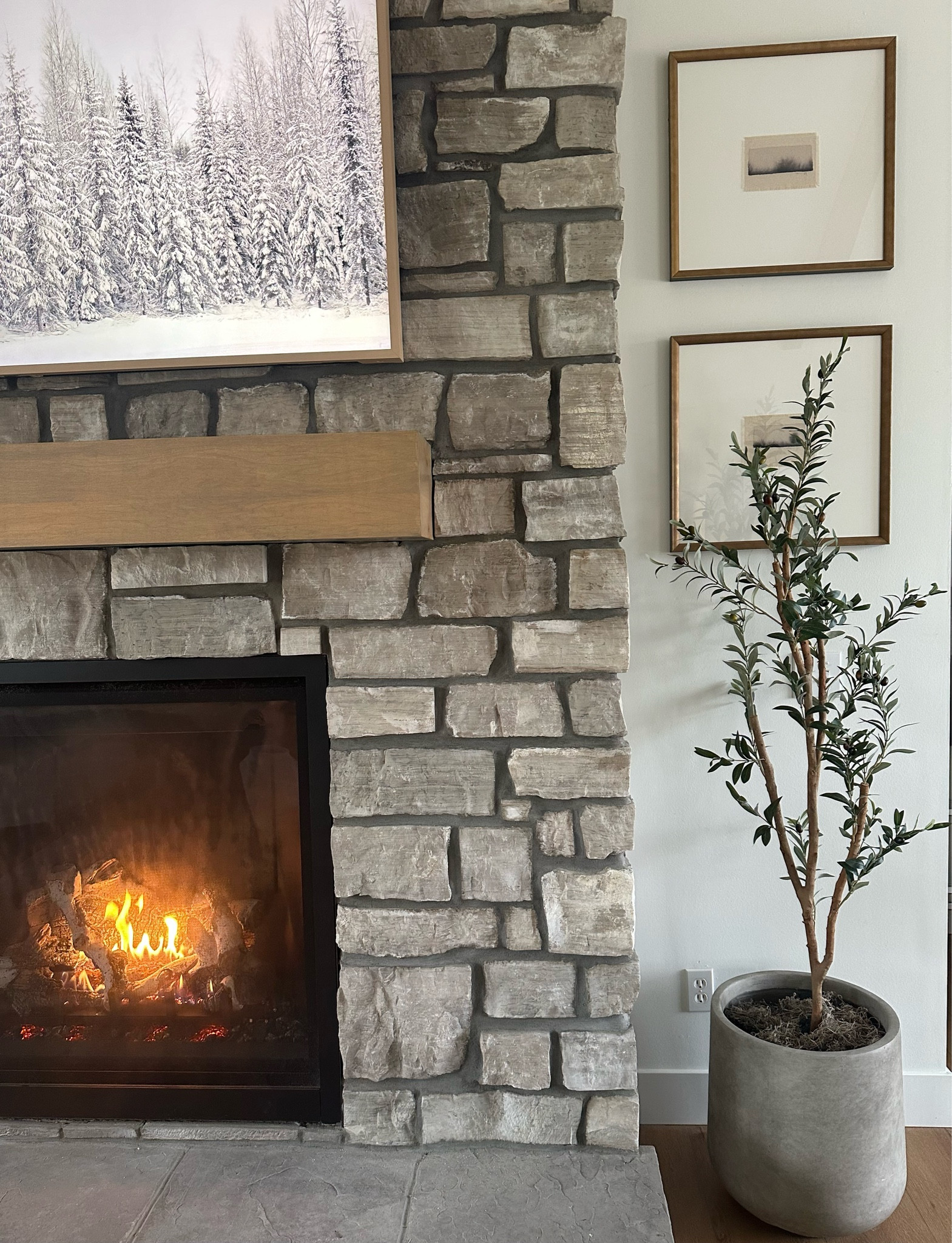 Living room views 


Olive tree, planter , fireplace, pot, tree, art , framed art, pottery barn, Samsung frame tv 

#LTKfindsunder50 #LTKSeasonal #LTKhome