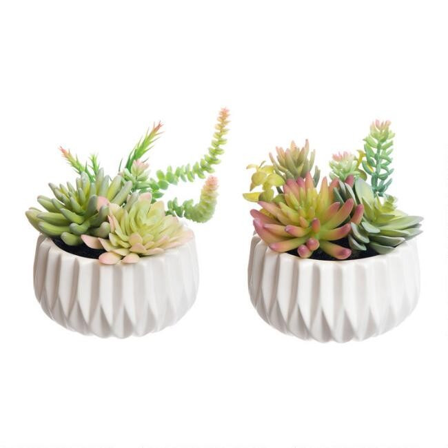 Faux Succulent Arrangements in Geo Ceramic Pots Set of 2 | World Market