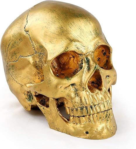 Resin Human Skull Statues Halloween Decor Skeleton Outdoor Human Skull Model Golden Home Decorati... | Amazon (US)