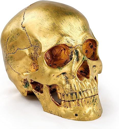 Amazon.com: Resin Human Skull Statues Halloween Decor Skeleton Outdoor Human Skull Model Golden H... | Amazon (US)