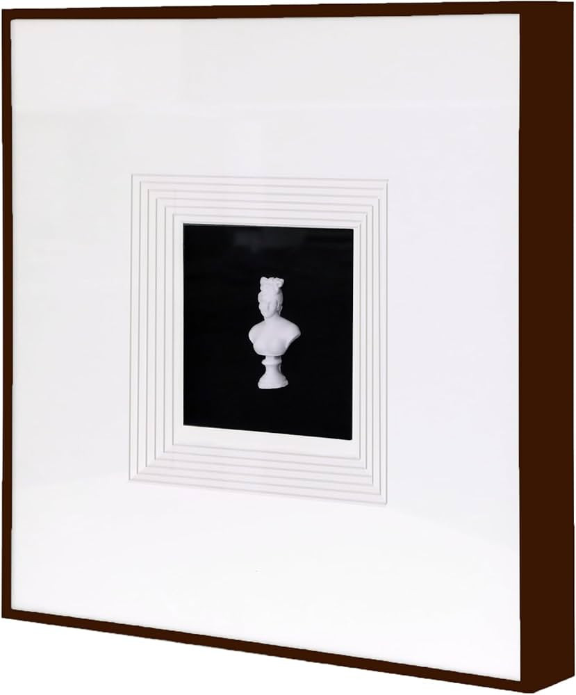 Sculpture Wall Art,French Vintage Decor with Framed,Aesthetic Black Paintings for Home Living Roo... | Amazon (US)