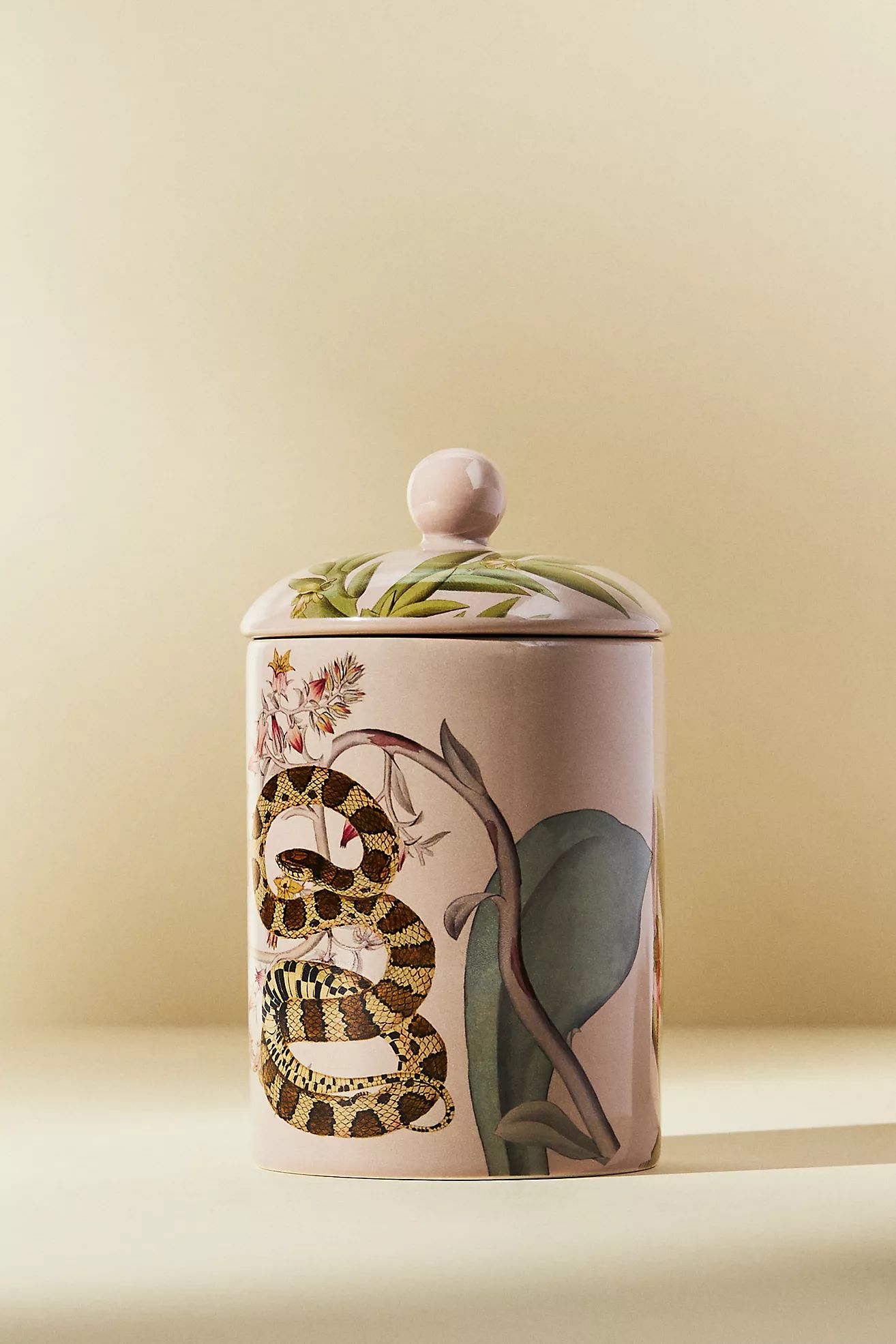 Botanist Library Jar Candle | Anthropologie (US)